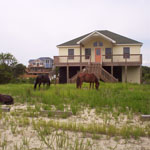 Ocean Pearl Carova Osprey - Sample House 2.jpg Gallery Image